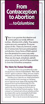 The Hurtful Consequences of Artificial Contraception and Sterilization