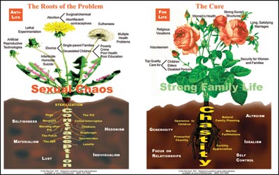 Larger version of the Dandelion-Rose poster (about 22" by 32") is available for classrooms and other group settings.
