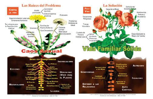 Cartel 'Las Ra�ces del Problema'